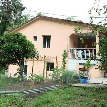 Maison Lavanne Saint-Joseph Kültér fotó