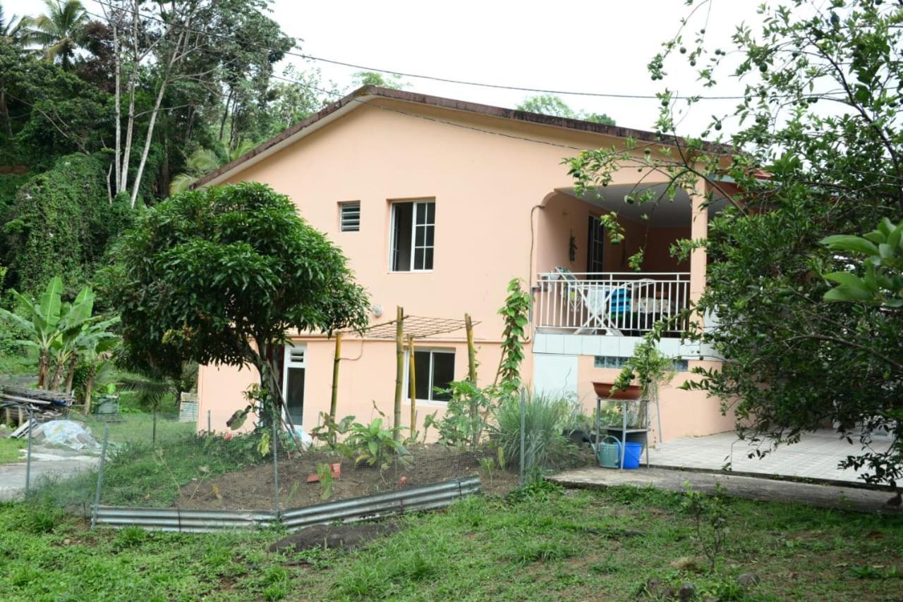Maison Lavanne Saint-Joseph Kültér fotó